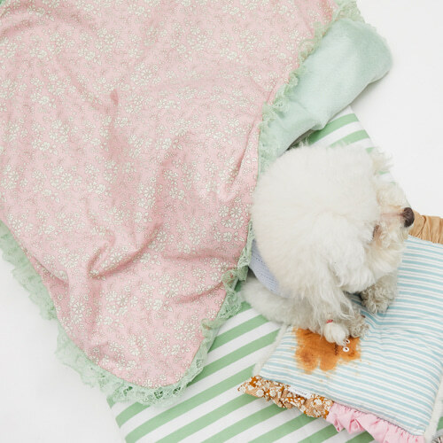 Louisdog 英倫優雅花卉蕾絲雙面毯