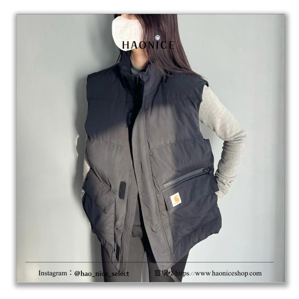 【HAO NICE】100%正品 CARHARTT WIP 美國潮牌🇺🇸 戶外防潑水立領背心 背心外套 保暖