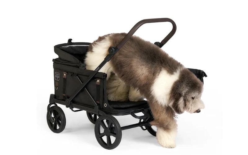 大型犬使用寵物推車