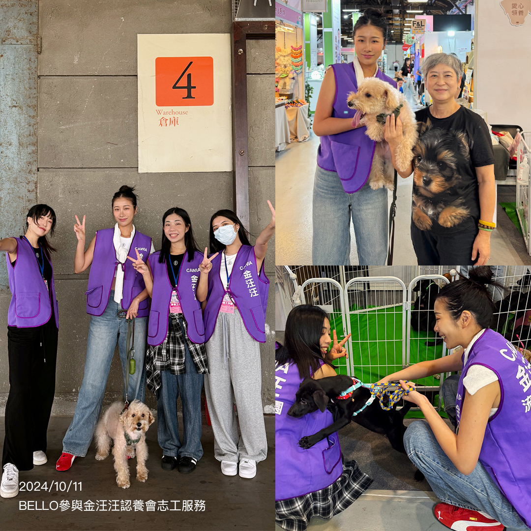 給浪浪一個家｜Station 2 ：深入金汪汪，親身參與志工活動