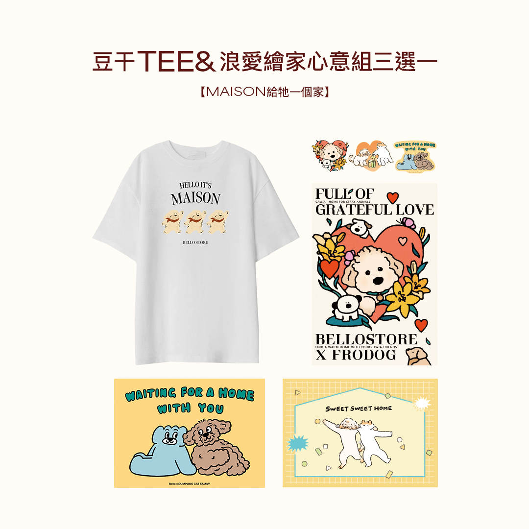 給浪浪一個家｜Station 3 ：攜手讓愛延續，為浪浪打造一個真正的家