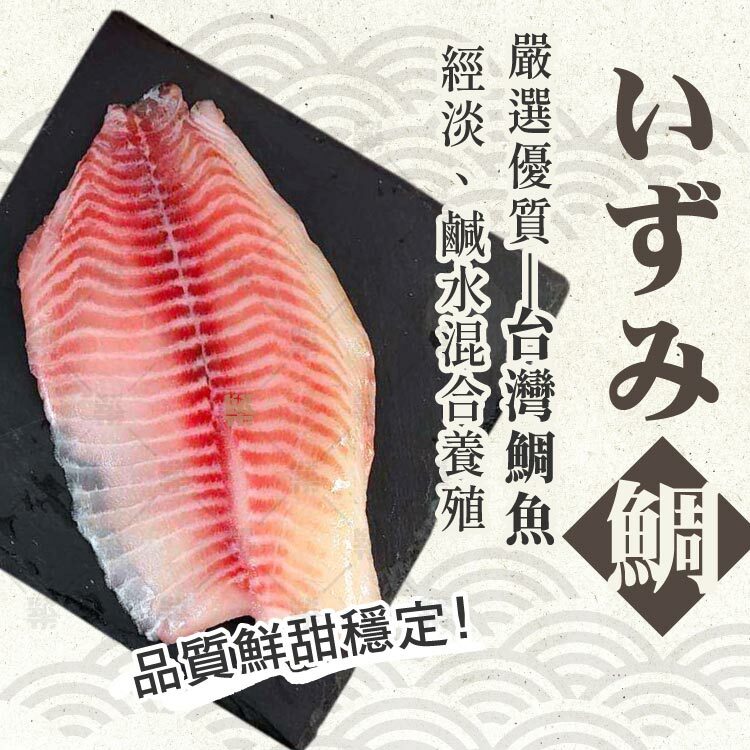 嚴選品質穩定淡鹹水混和養殖台灣鯛魚