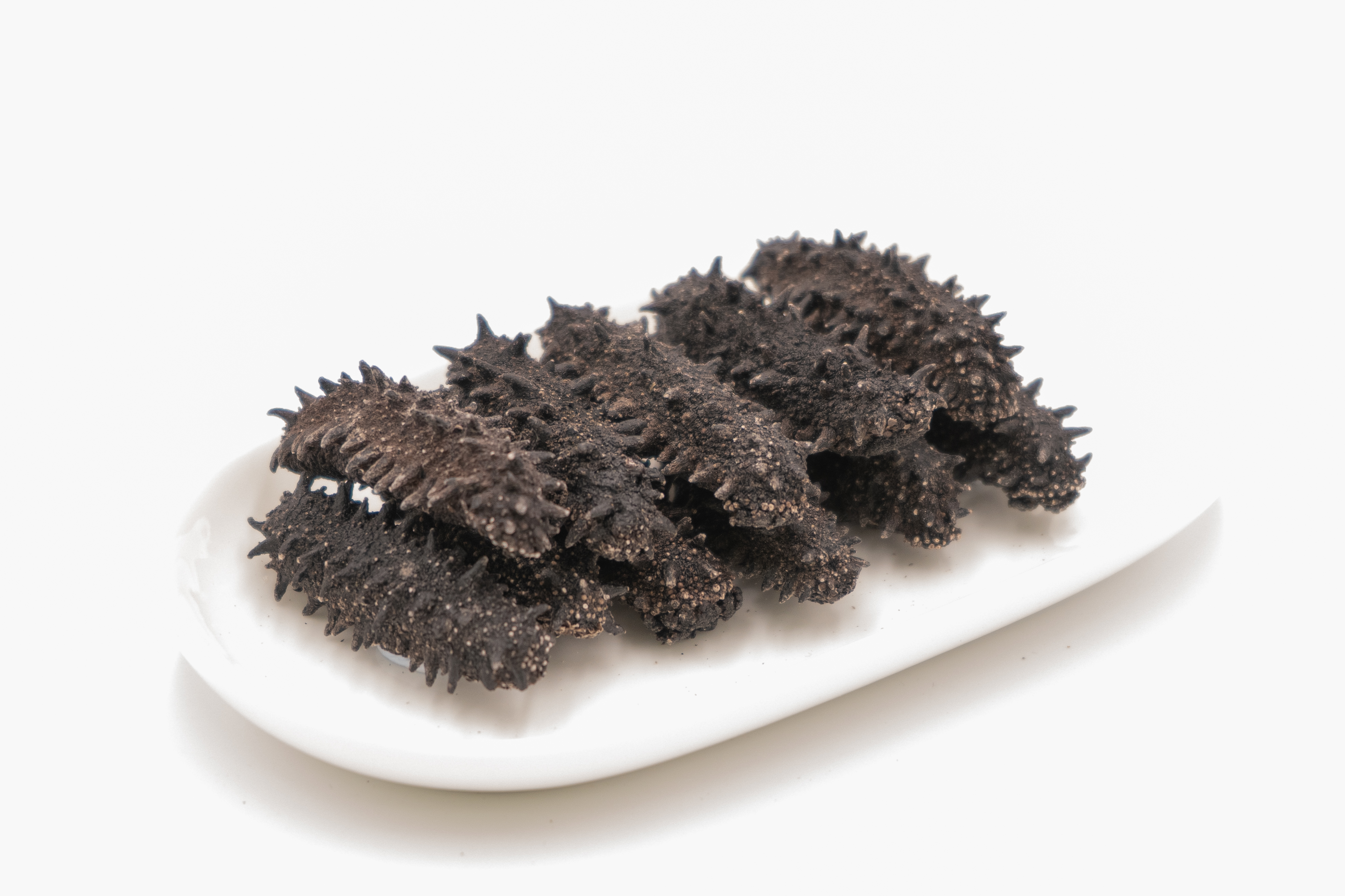 81支北海道枝幸遼參