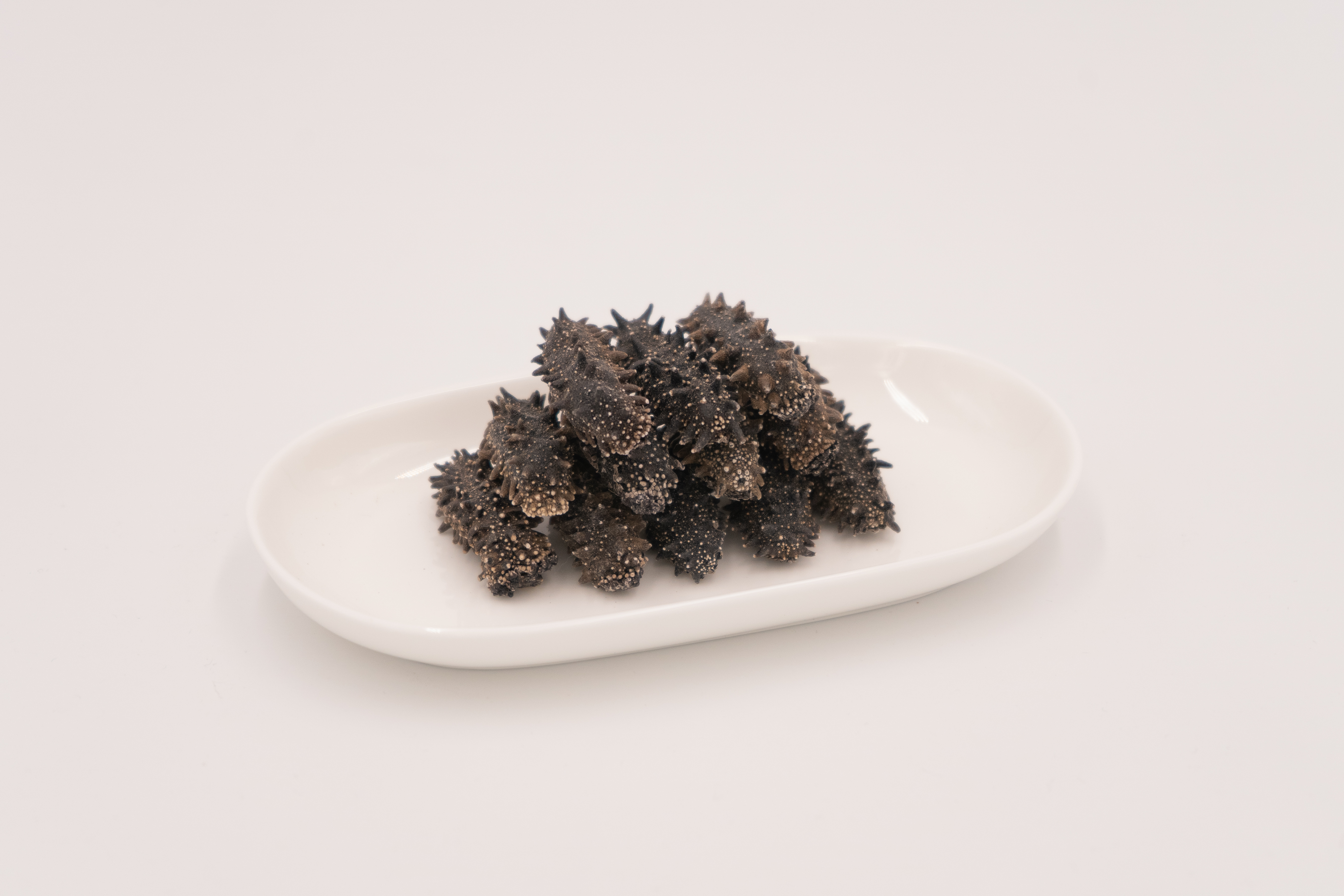 115支北海道遼參