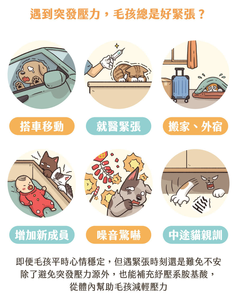 汪喵星球｜紓壓胺基酸 20包入/盒