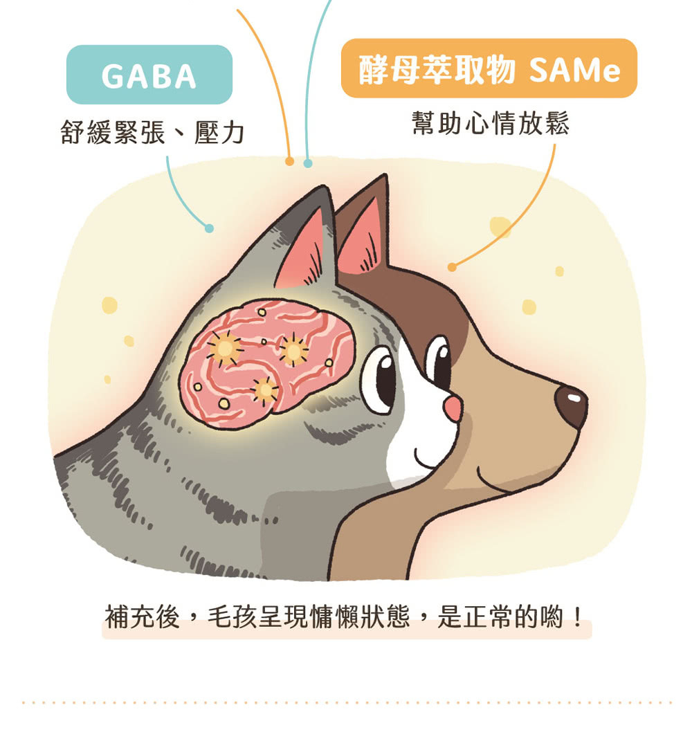 汪喵星球｜紓壓胺基酸 20包入/盒