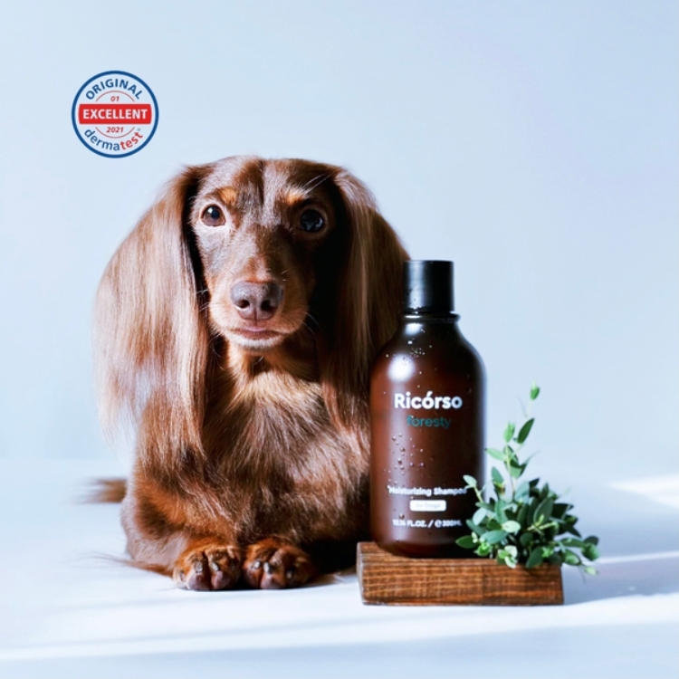 Ricorso Foresty Moisturizing Shampoo