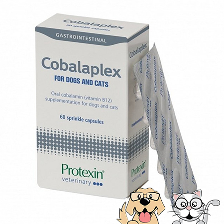 Protexin - Cobalaplex 維他命B12及B9補充劑 一排15粒 (平行進口) [貓犬用]