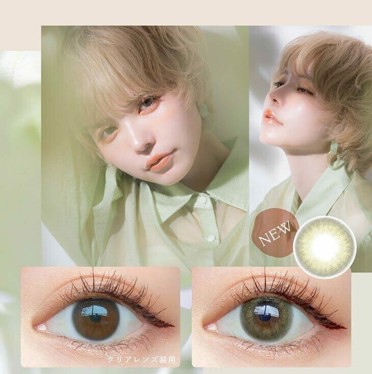 Bambi Series - Vintage Pistachio - 1Day - 10Pieces