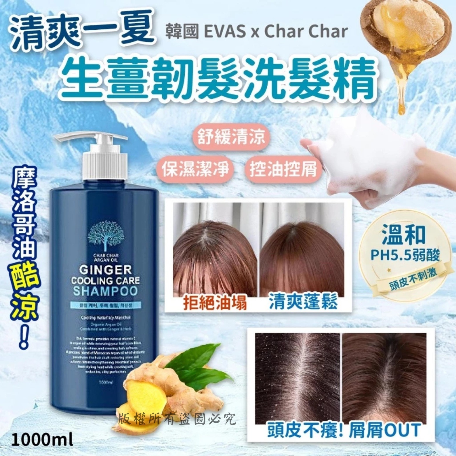 韓國 EVAS x Char Char 摩洛哥油酷涼生薑韌髮洗髮精