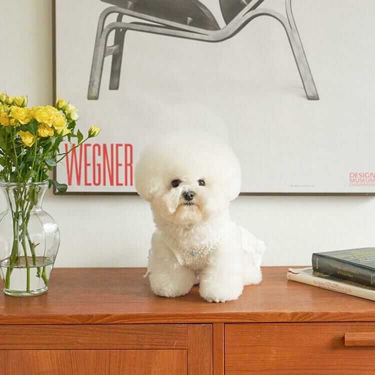 Noutti 純白V領洋裝