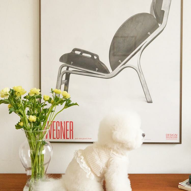 Noutti 艾莉短版背心