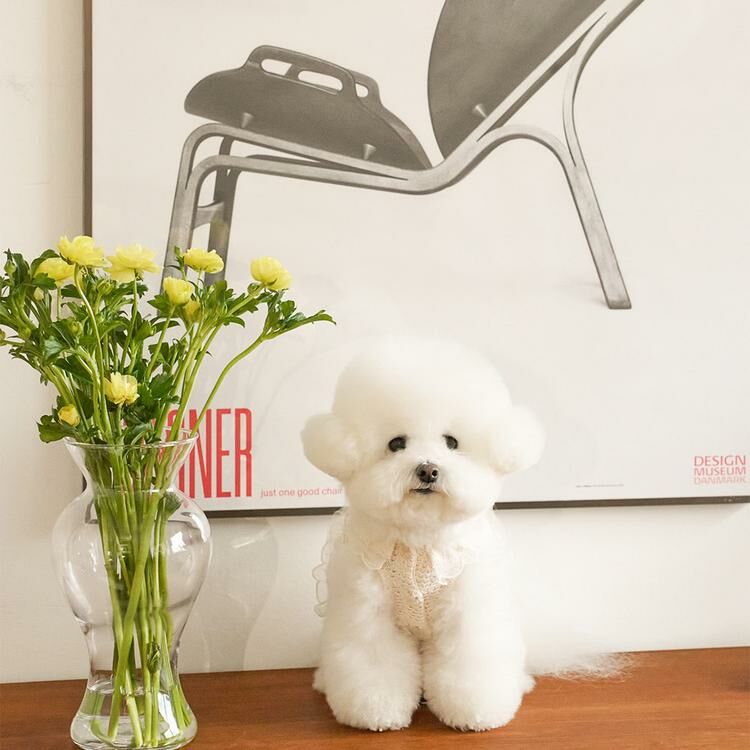 Noutti 艾莉短版背心