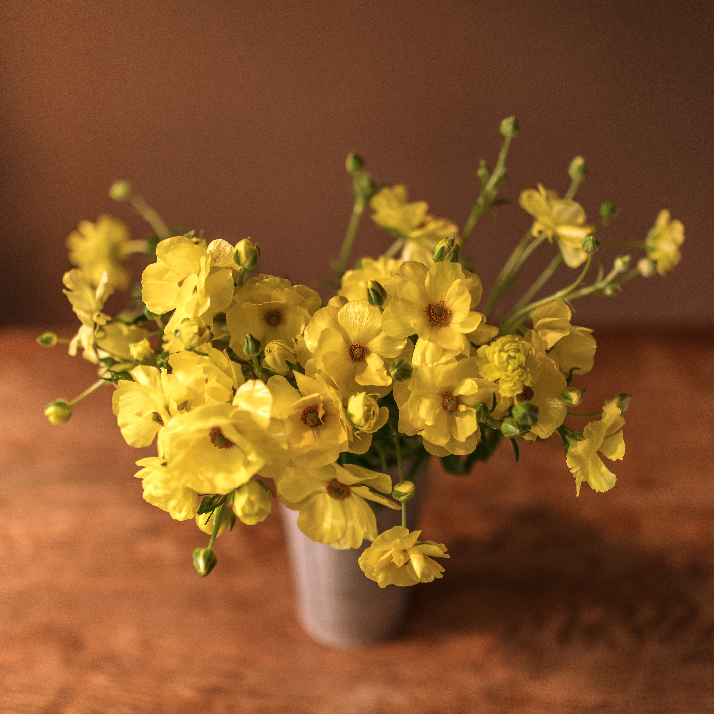 台產黃陸蓮花材