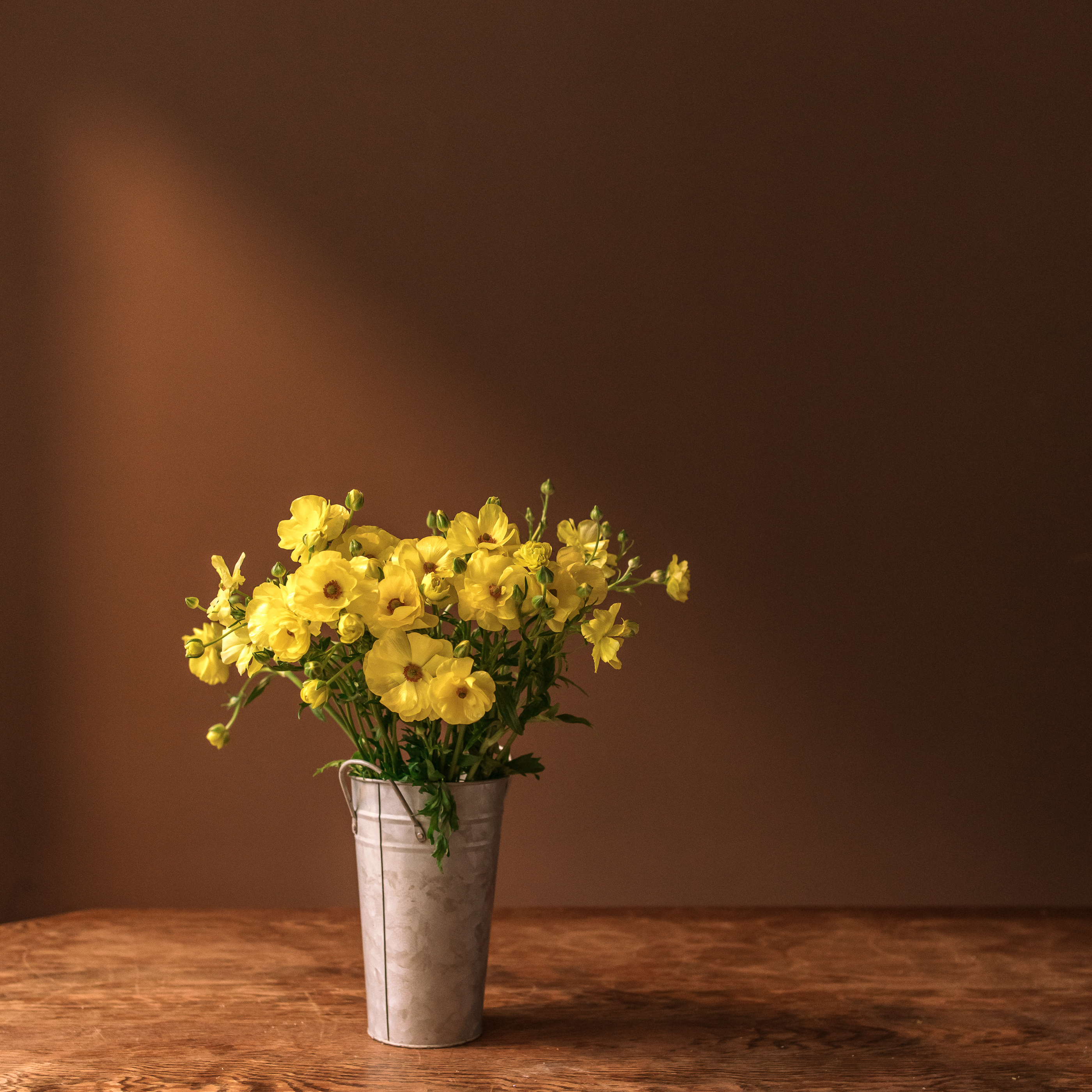 台產黃陸蓮花材