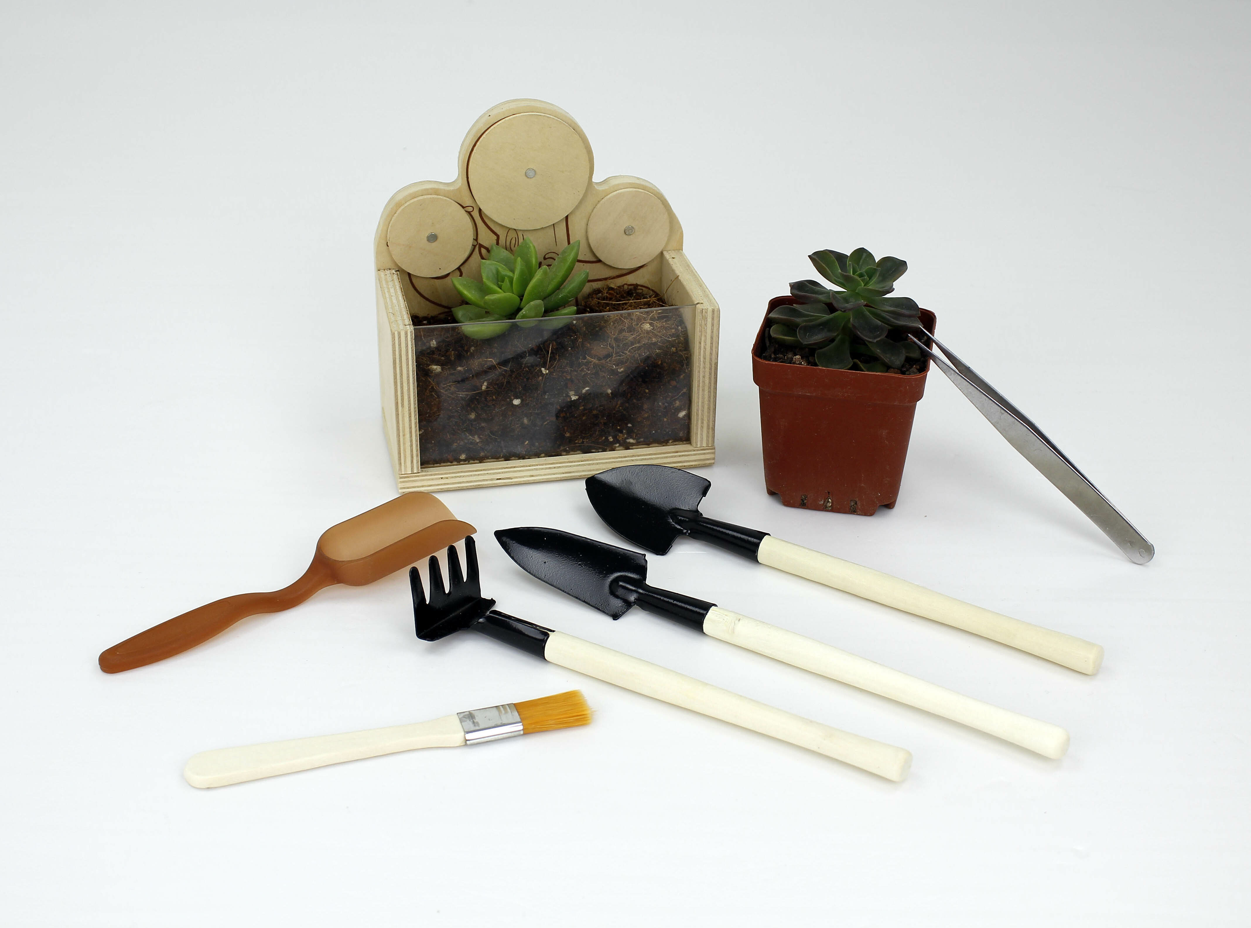 奇幻森林種植盒