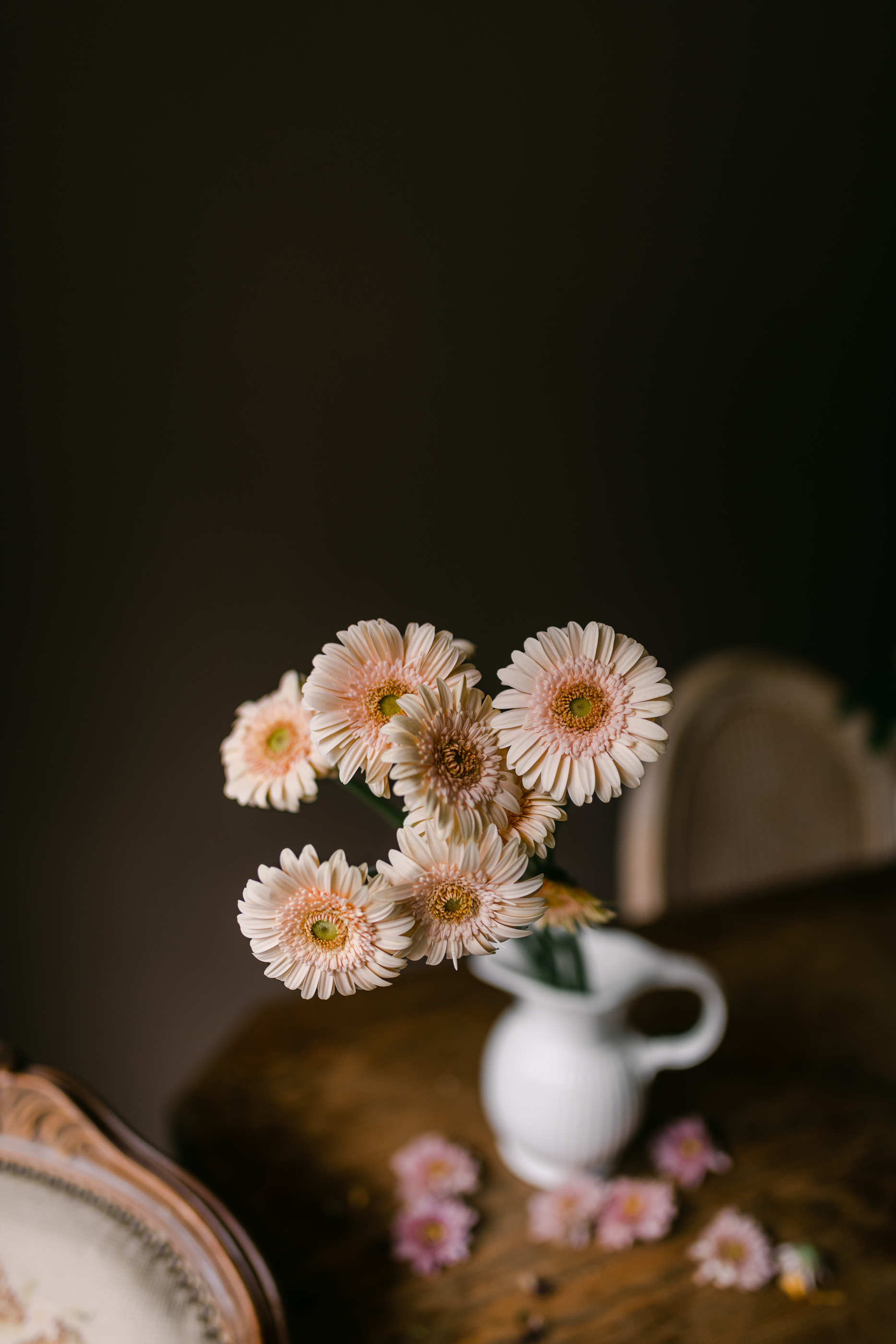 鮭魚杏粉太陽花材