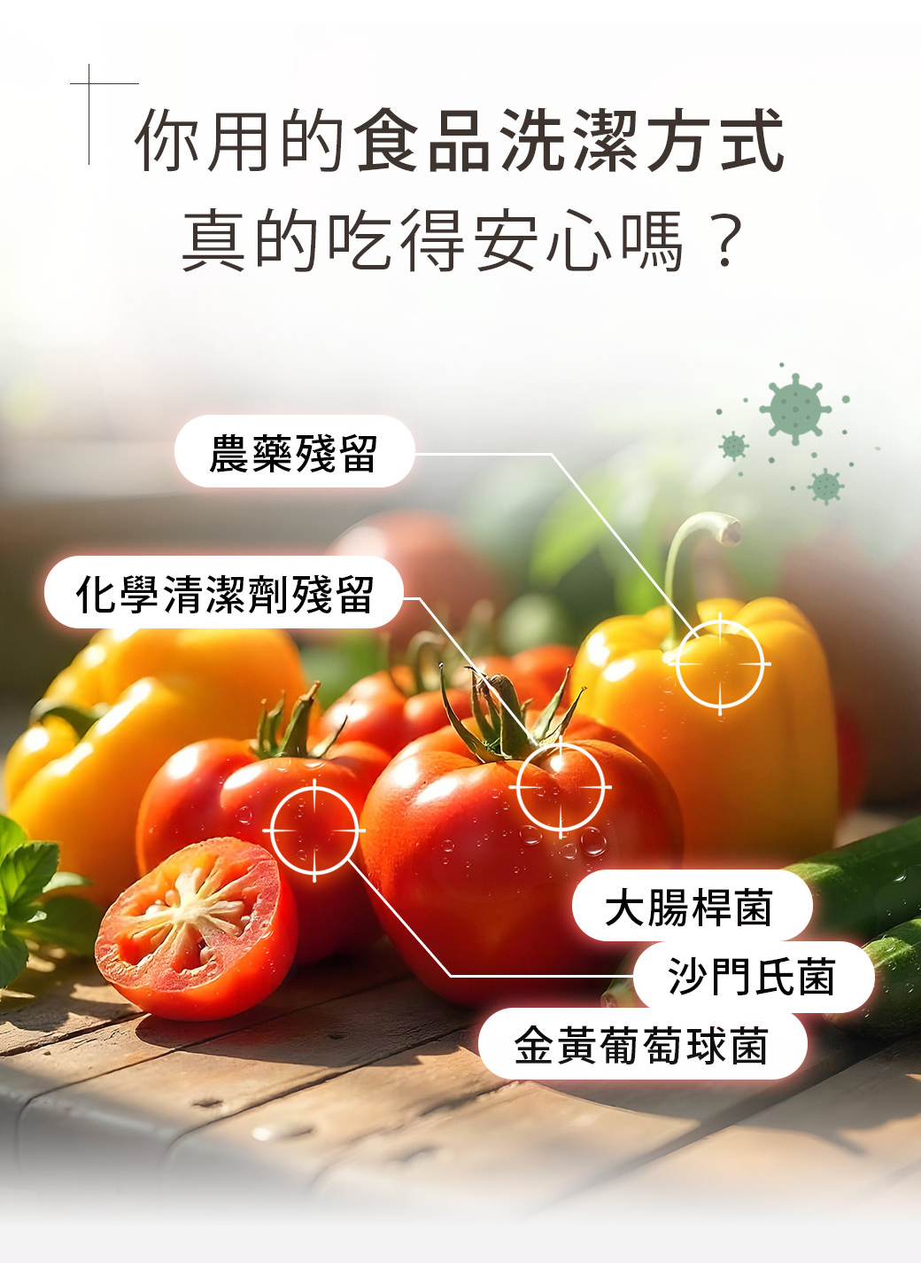 洗寶,蛋殼蔬果清潔粉:你用的食品洗潔方式真的吃得安心嗎?農藥殘留,化學清潔劑殘留,大腸桿菌,沙門氏菌,金黃葡萄球菌