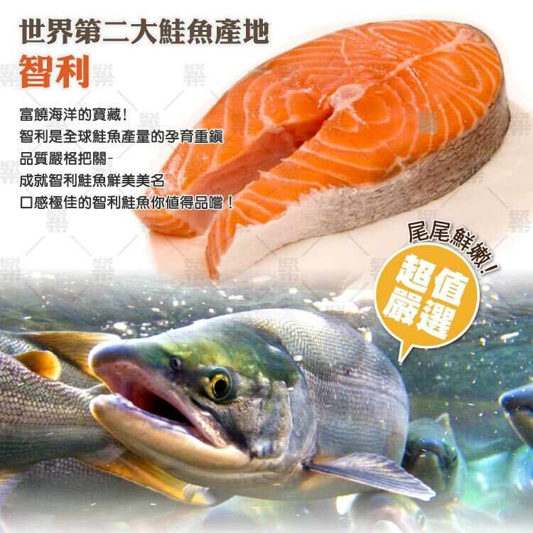 世界第二大鮭魚產地－智利