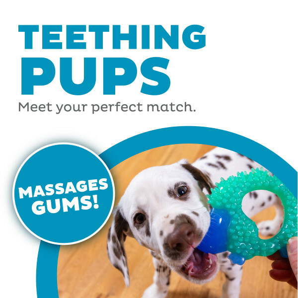 Petstages - 奧卡潔齒刺猬