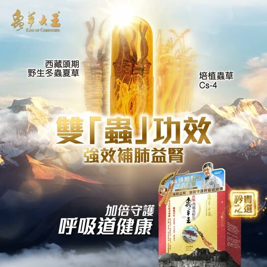 元祖西藏真野生 - 蟲草王