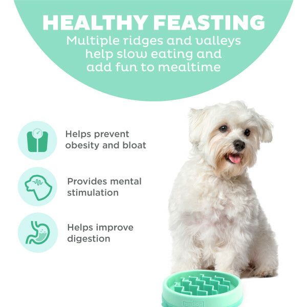 Outward Hound -10倍慢速好玩慢食碗(超小) (淺綠)