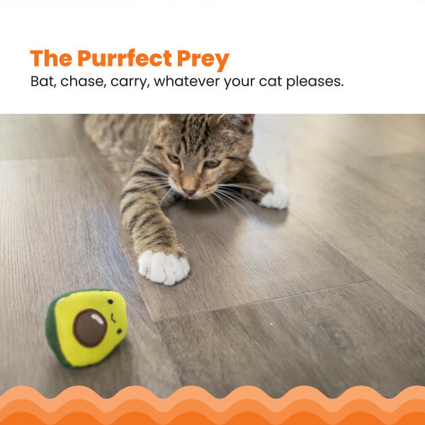 Petstages - 貓草牛油果