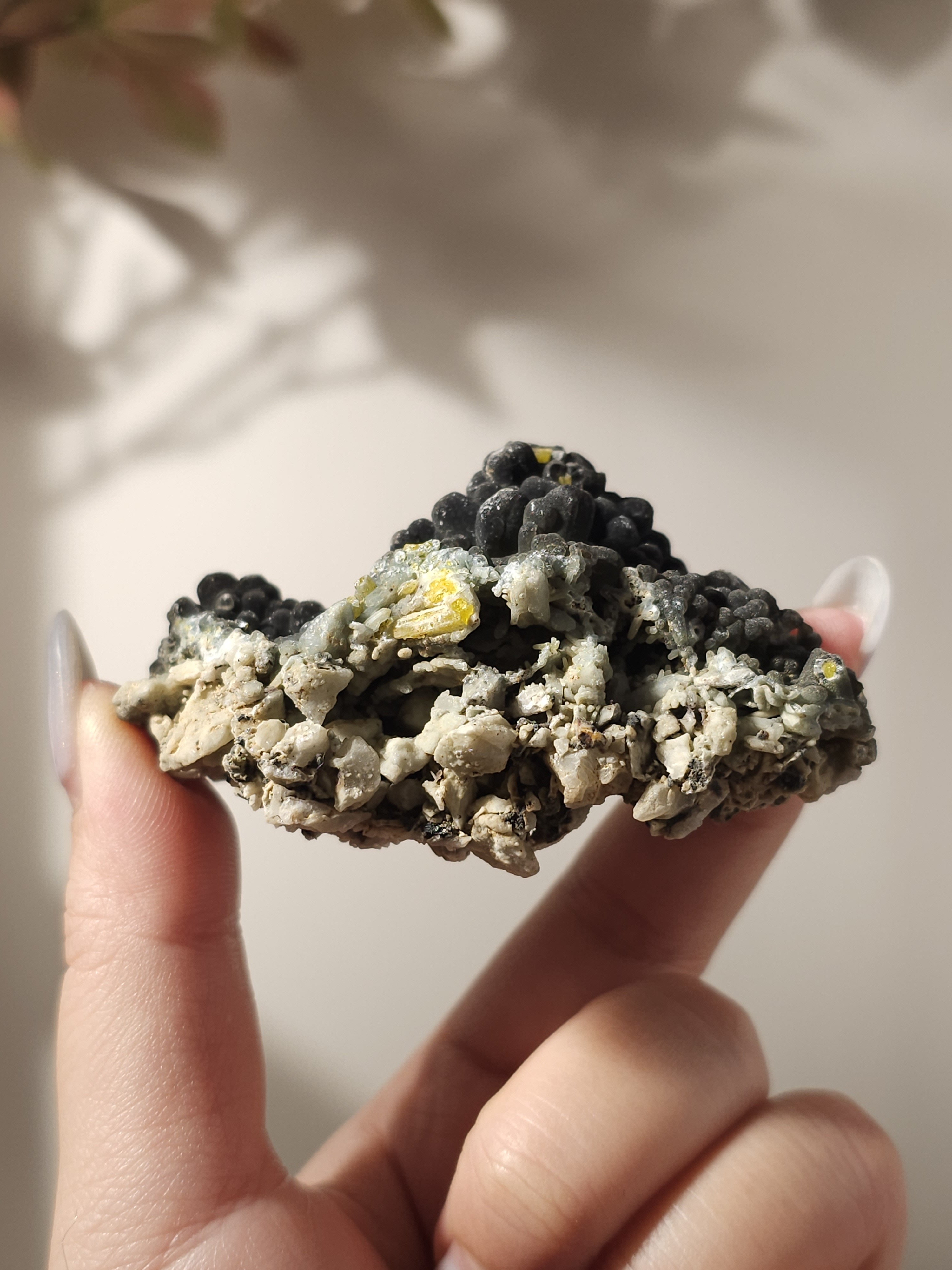 稀有美麗的水磷鋁鉛礦#0510