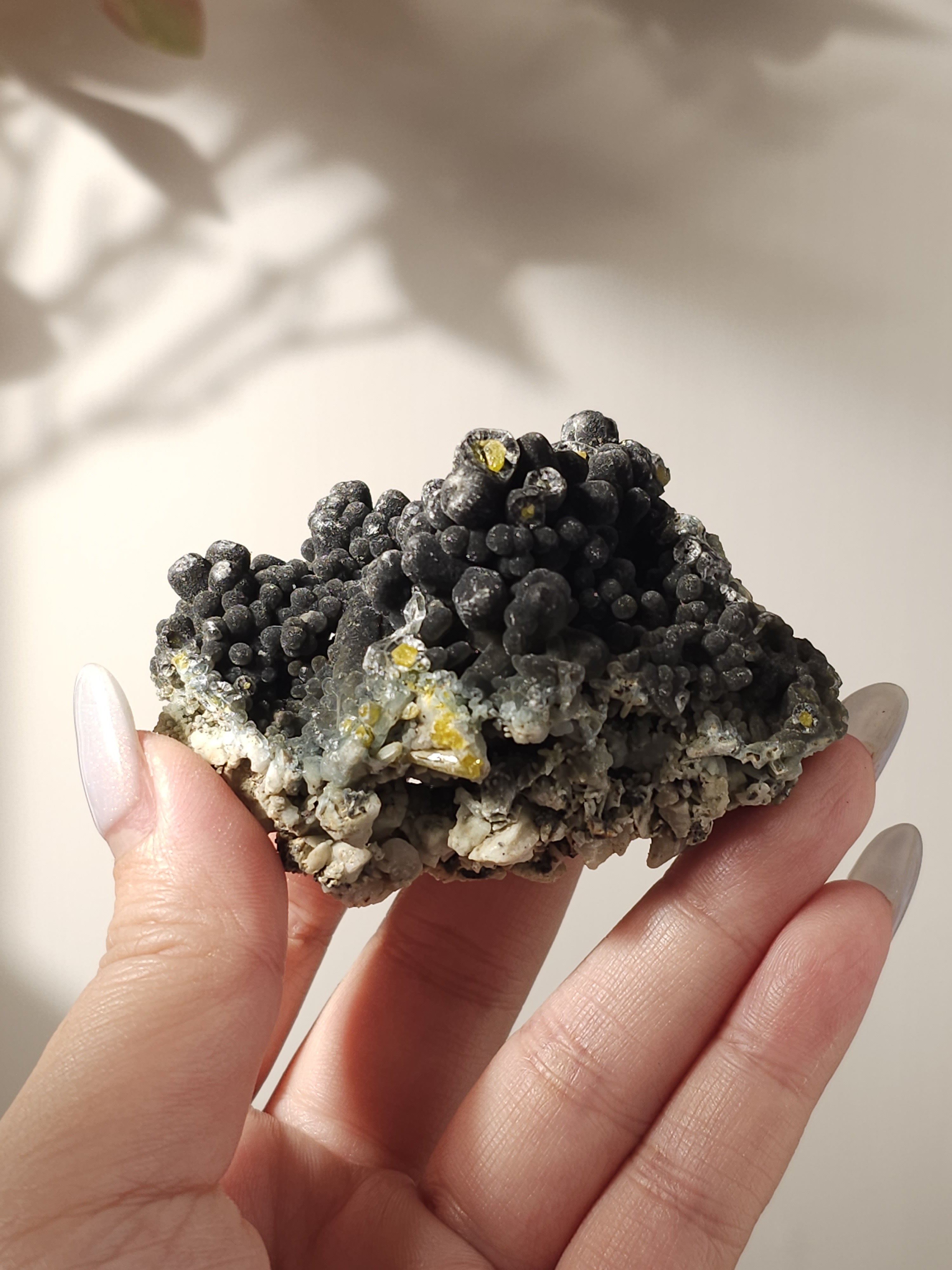 稀有美麗的水磷鋁鉛礦#0510