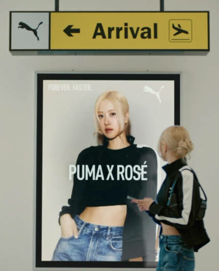 Rose PUMA