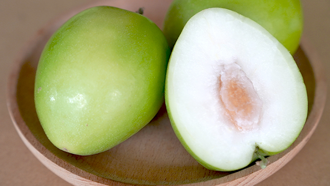 裕園農場的金桃蜜棗