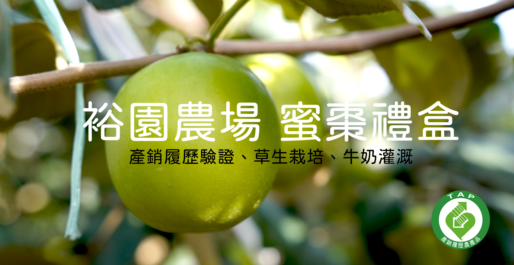 裕園農場 蜜棗禮盒