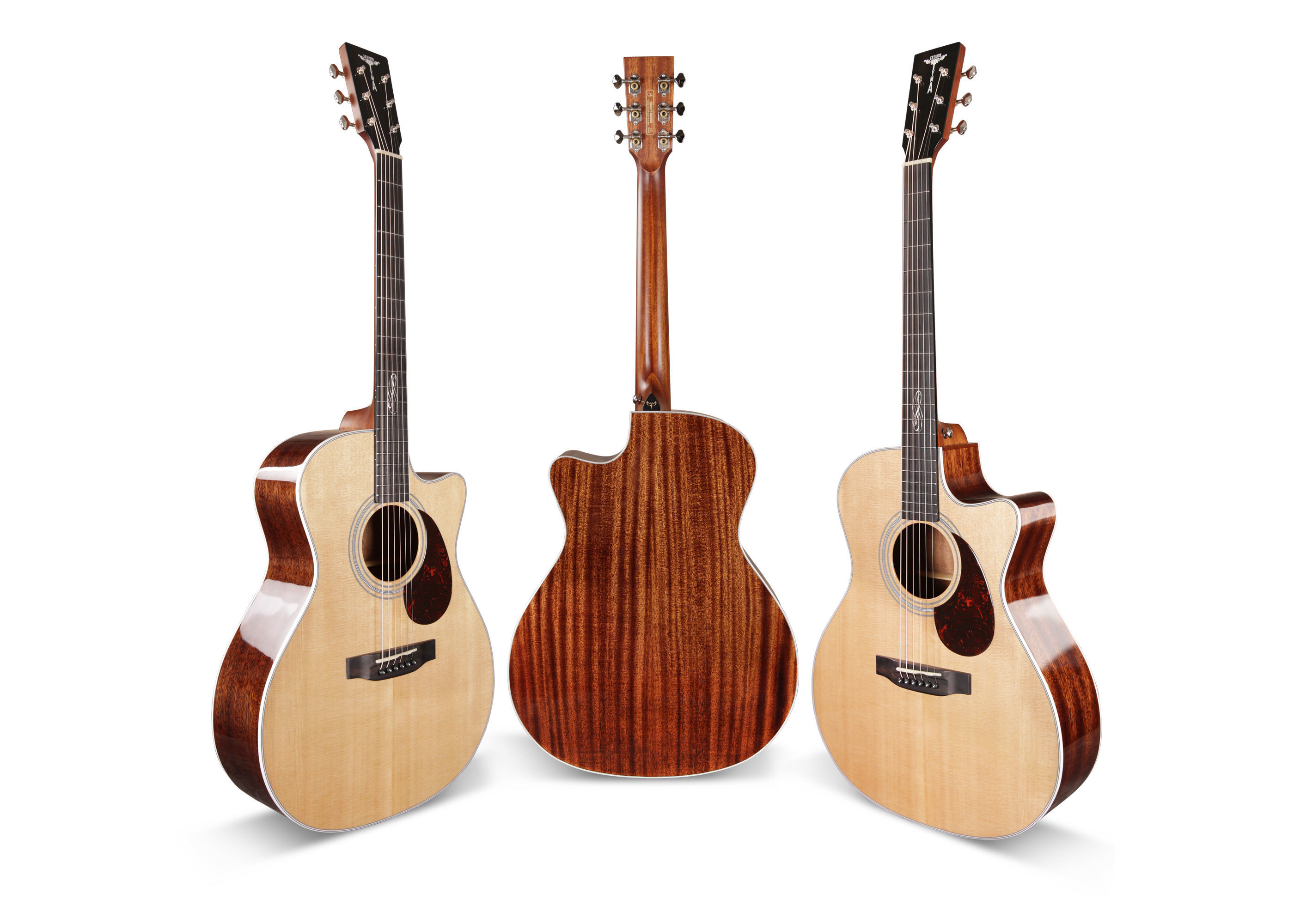 Tyma Tyma 無限系列 TG-15 全單板 民謠吉他 第 3 張圖片｜三峽吉他 / Bass