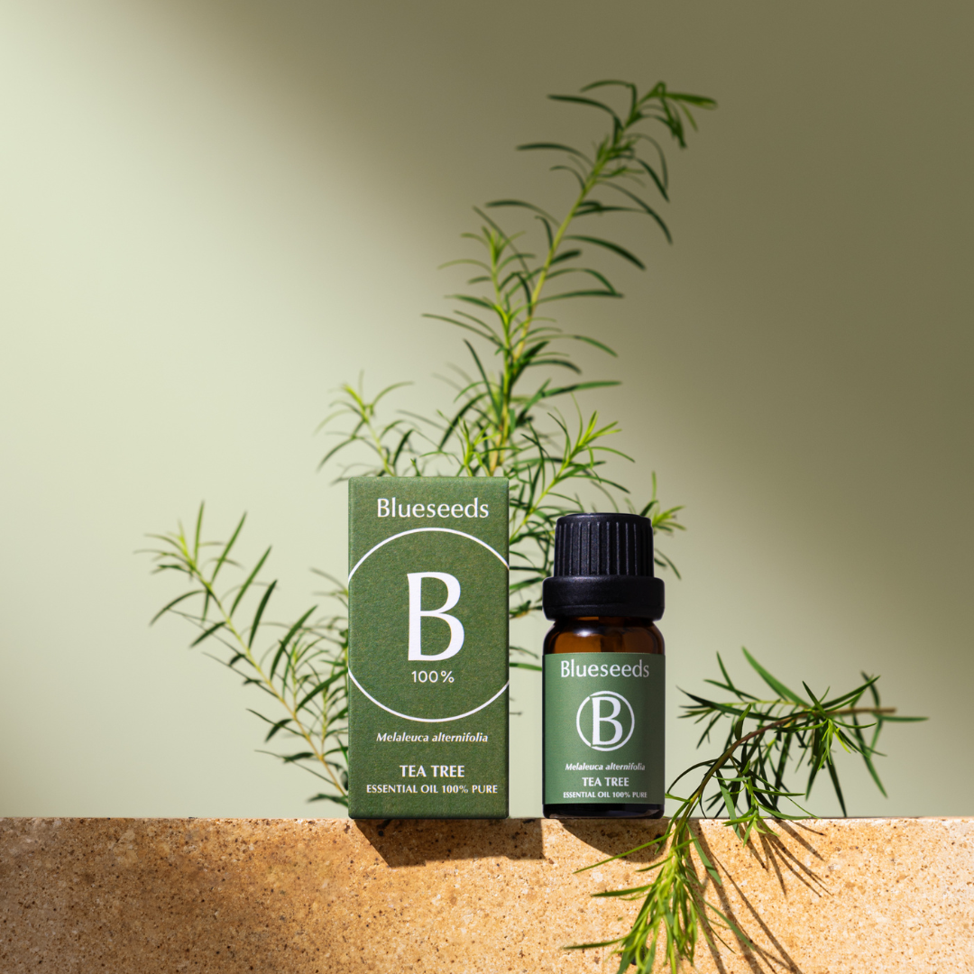 明星精油活力舒緩組 - 滴瓶精油10ml x3 ( 茶樹+日間活化+夜間安定舒眠 )