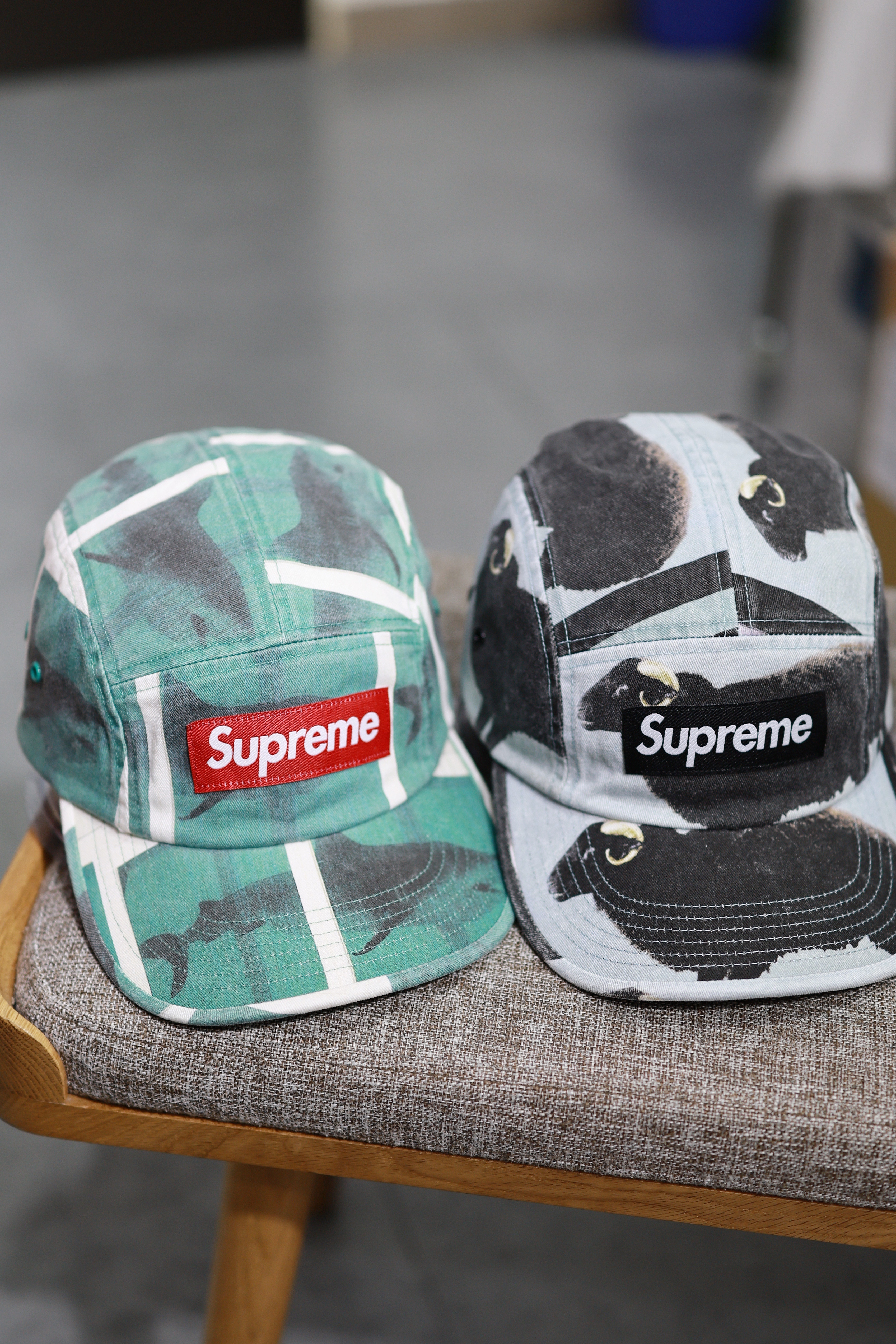 SUPREME SS25 DAMIEN HIRST CAMP CAP 帽