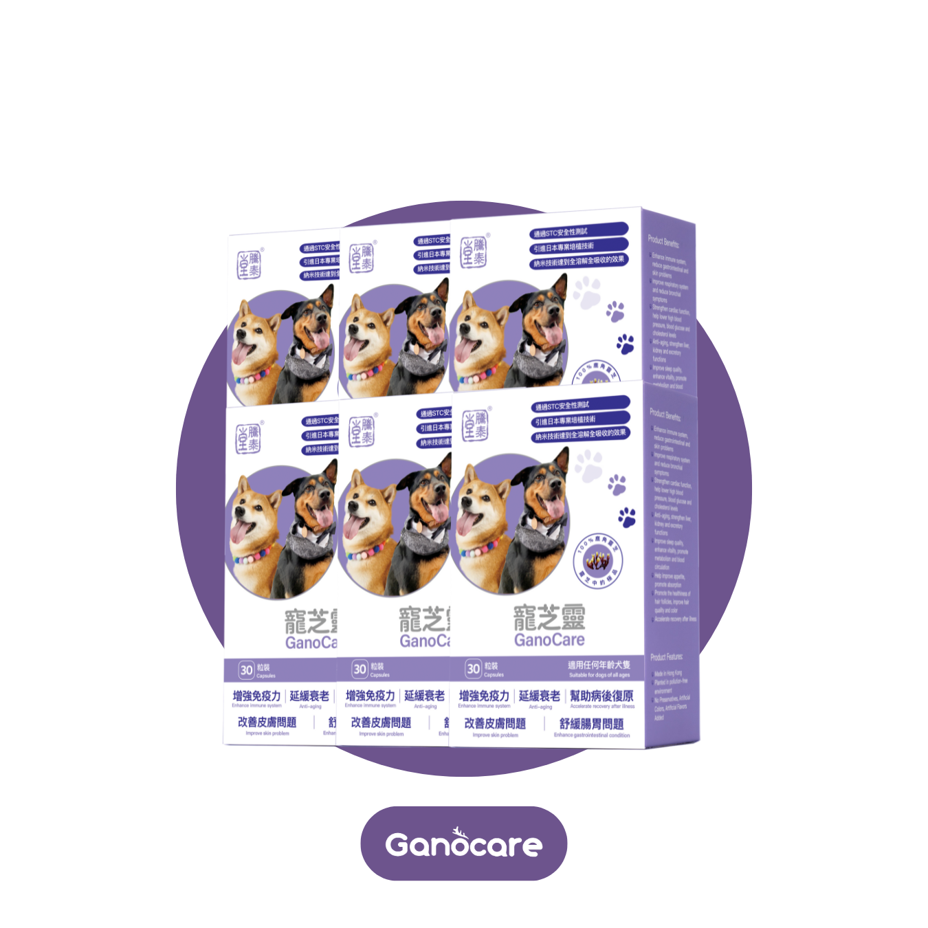 寵芝靈（狗裝6盒）