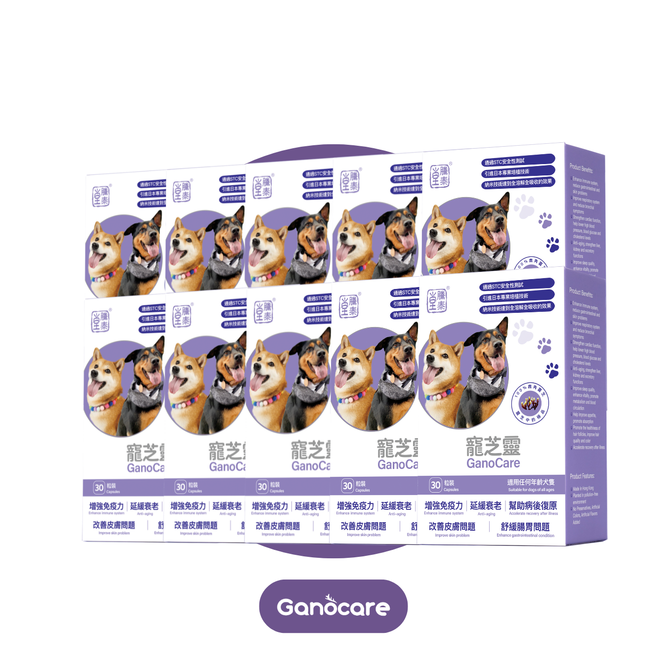 寵芝靈（狗裝10盒）