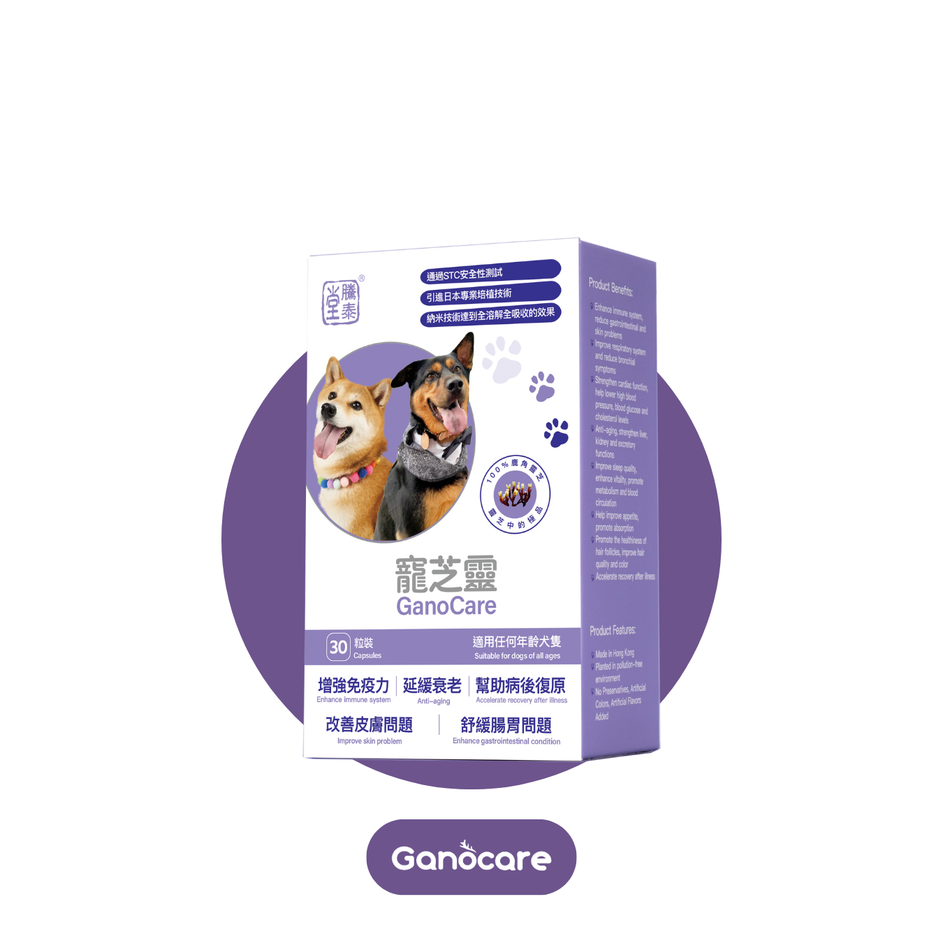 寵芝靈（狗裝）