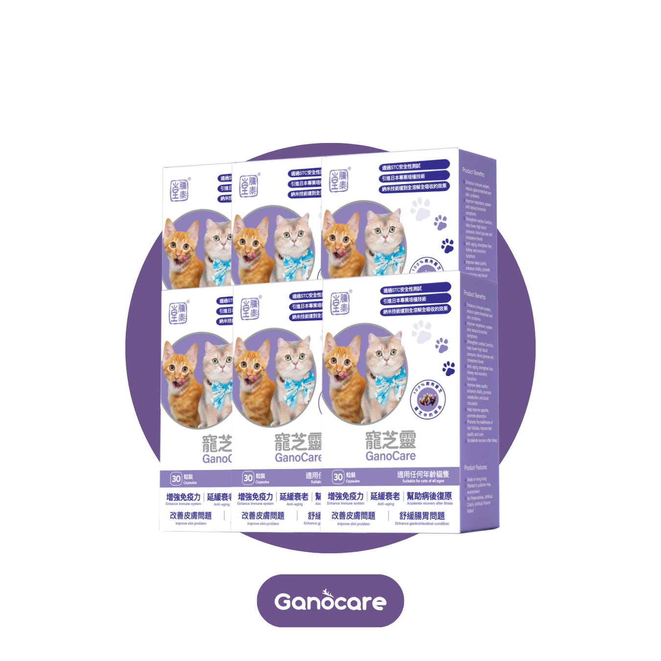 寵芝靈（貓裝6盒）