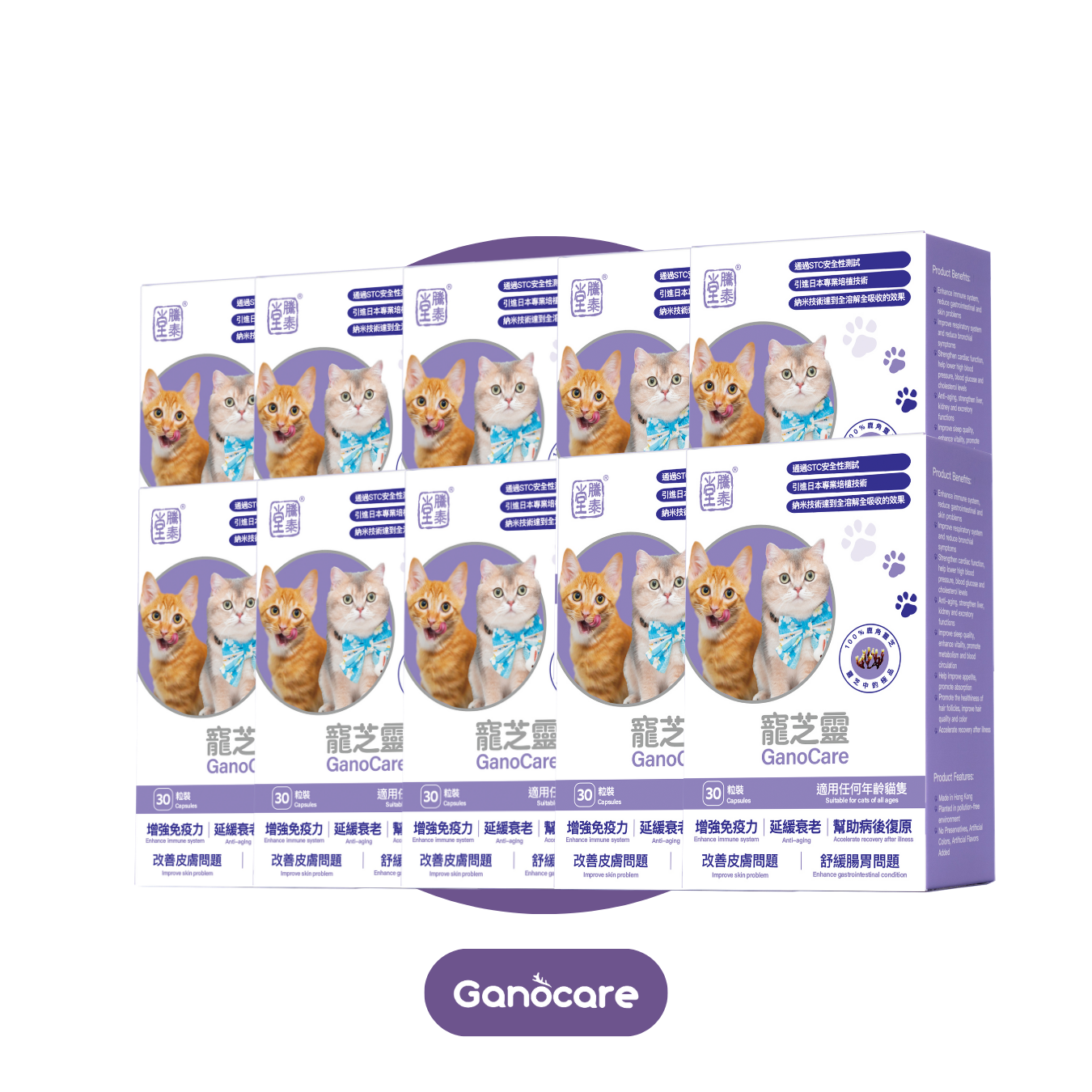 寵芝靈（貓裝10盒）
