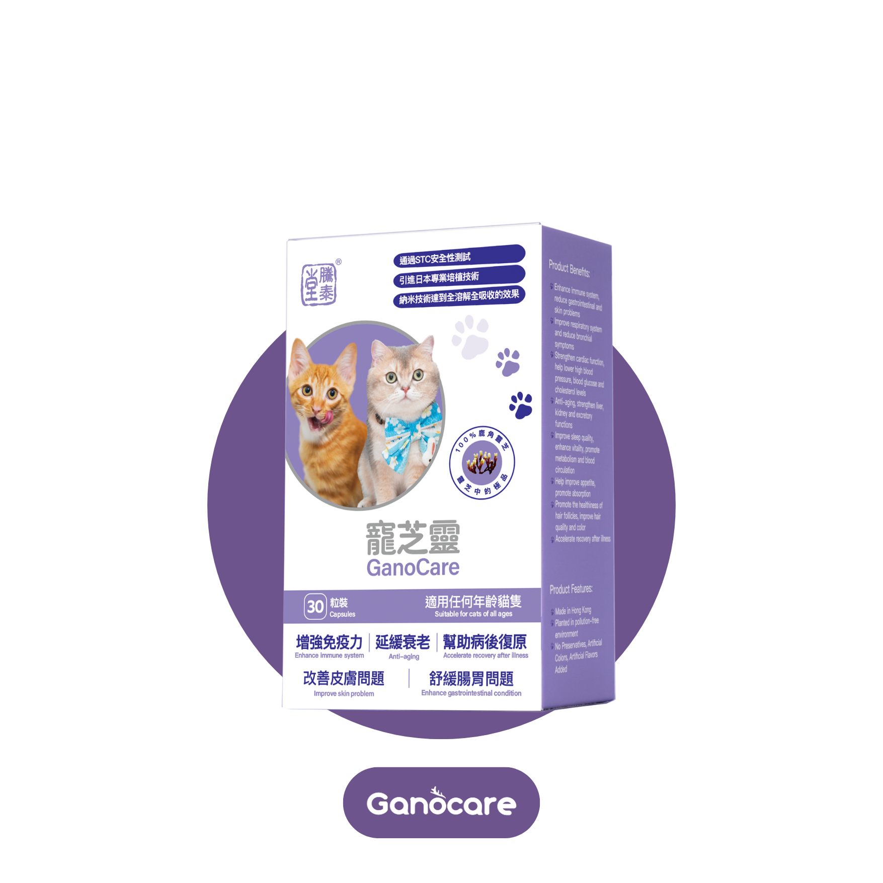 寵芝靈（貓裝）