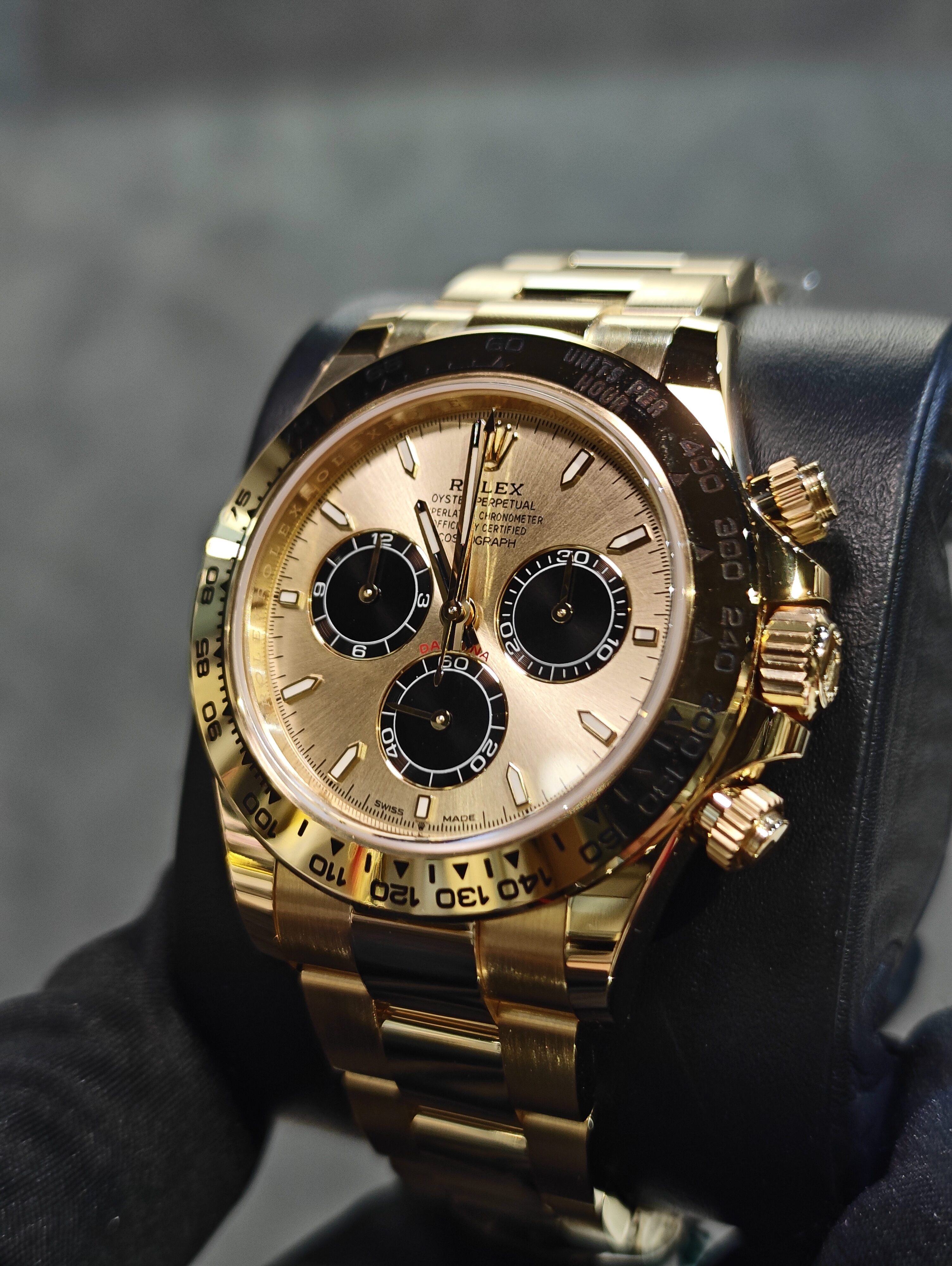 全新勞力士126508 地通拿黃金香檳色及黑色錶面余文樂 40MM
