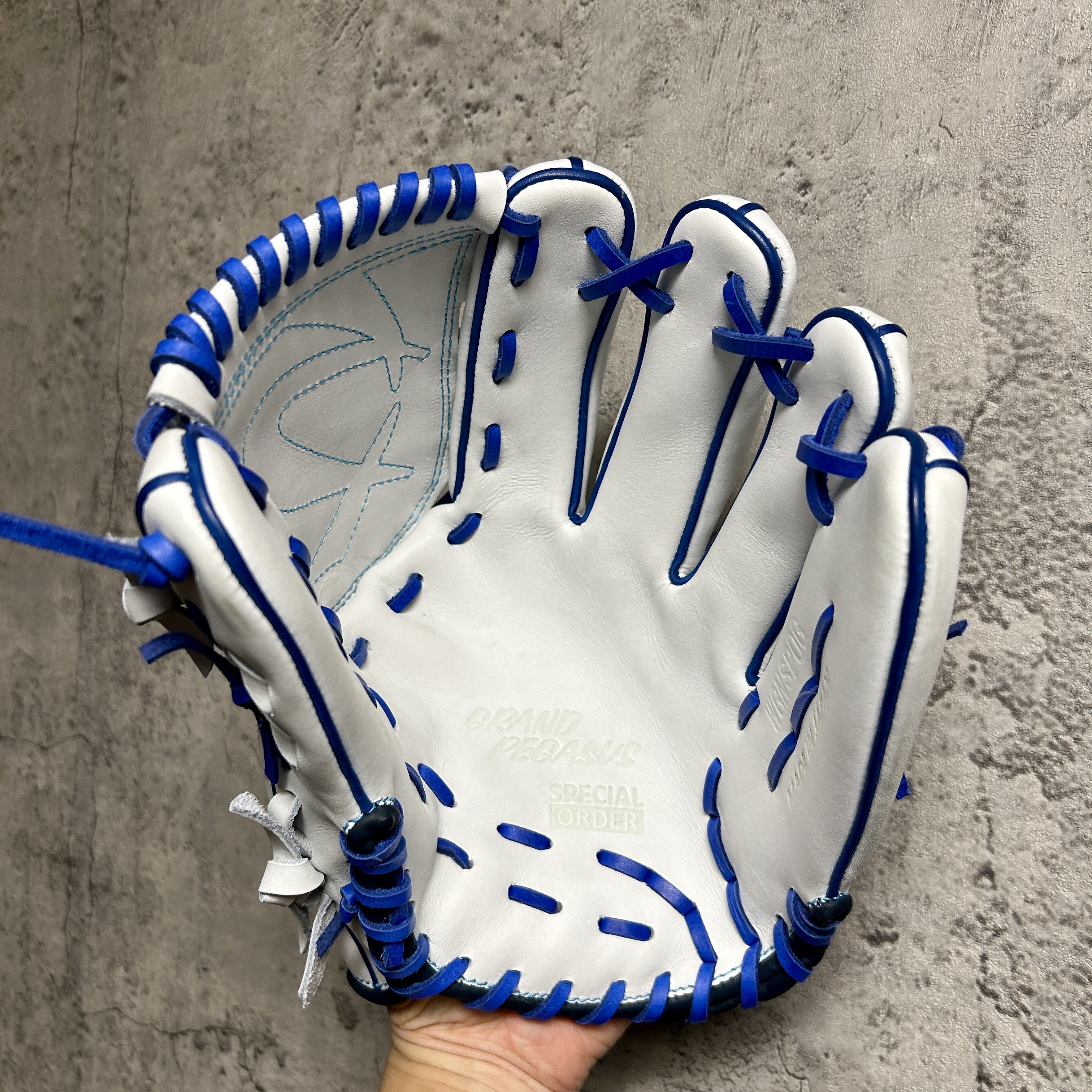 【照片分享】WorldPegasus 獨角獸 軟式投手 WGKGP11W