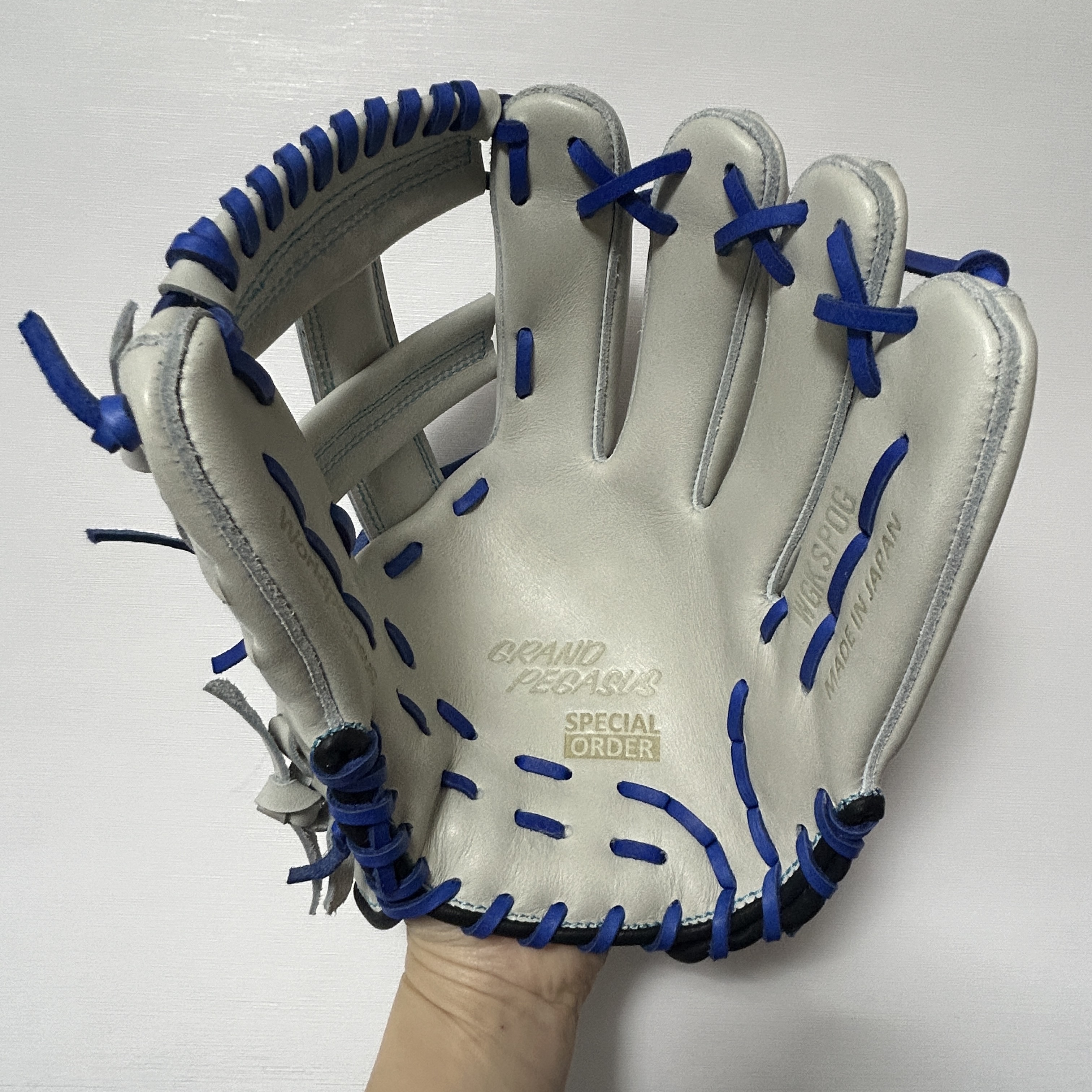 【照片分享】WorldPegasus 獨角獸 硬式内野手 WGK4GP411