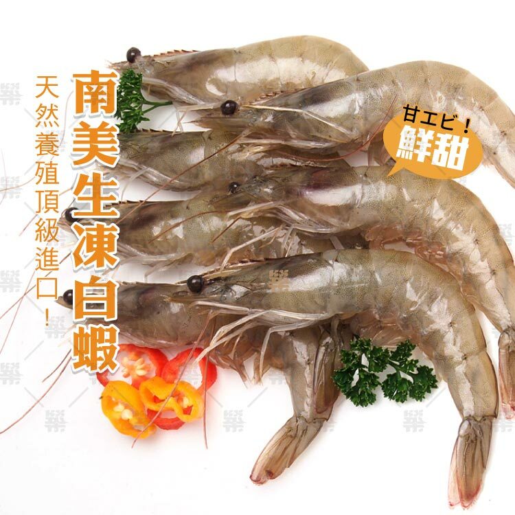 Q彈鮮甜南美生凍白蝦