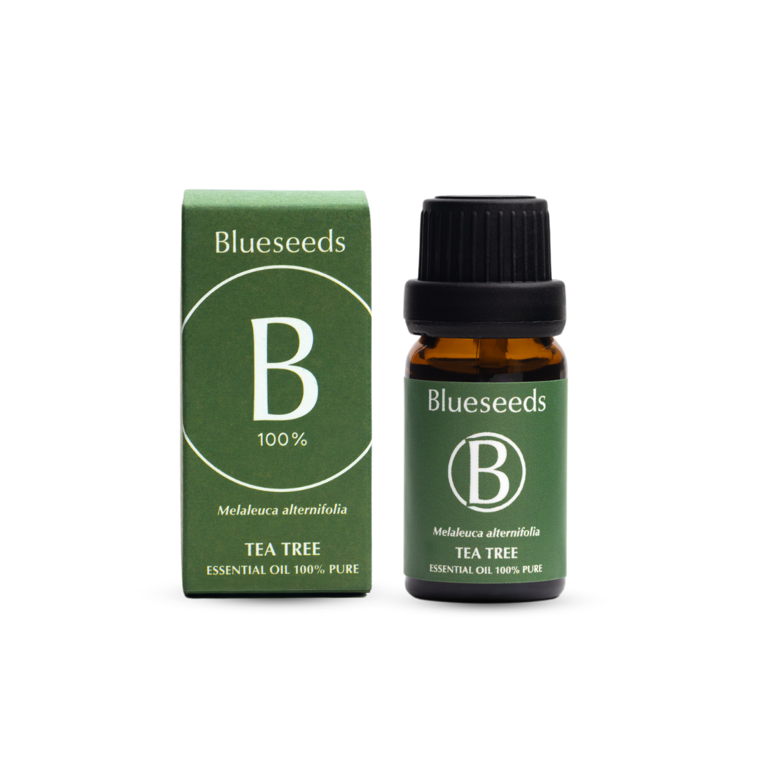 【自然農法香草田】茶樹精油 10ml｜百分百植物萃取精油