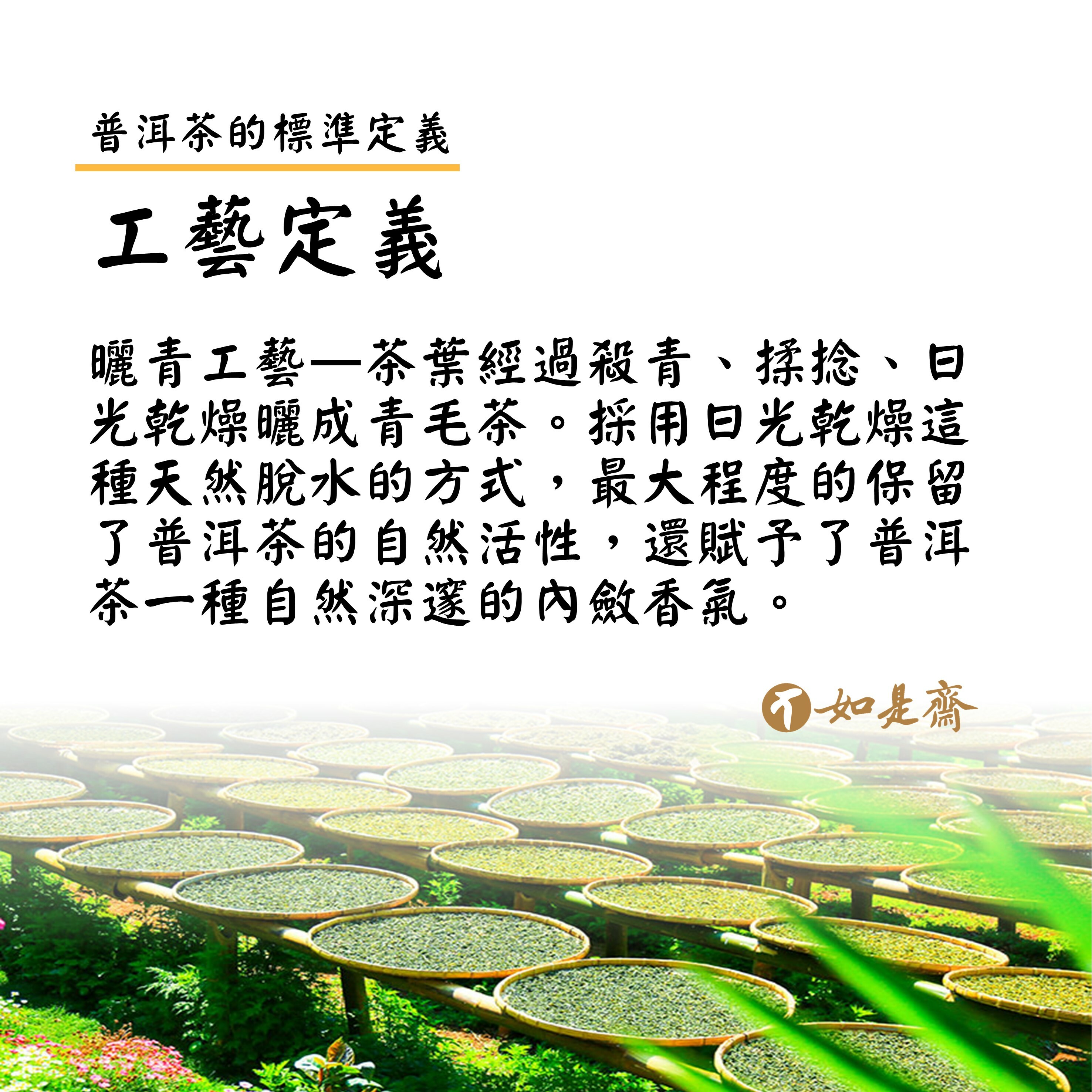 ※工藝定義 曬青工藝—茶葉經過殺青、揉捻、日光乾燥曬成青毛茶。採用日光乾燥這種天然脫水的方式，最大程度的保留了普洱茶的自然活性，還賦予了普洱茶一種自然深邃的內斂香氣。