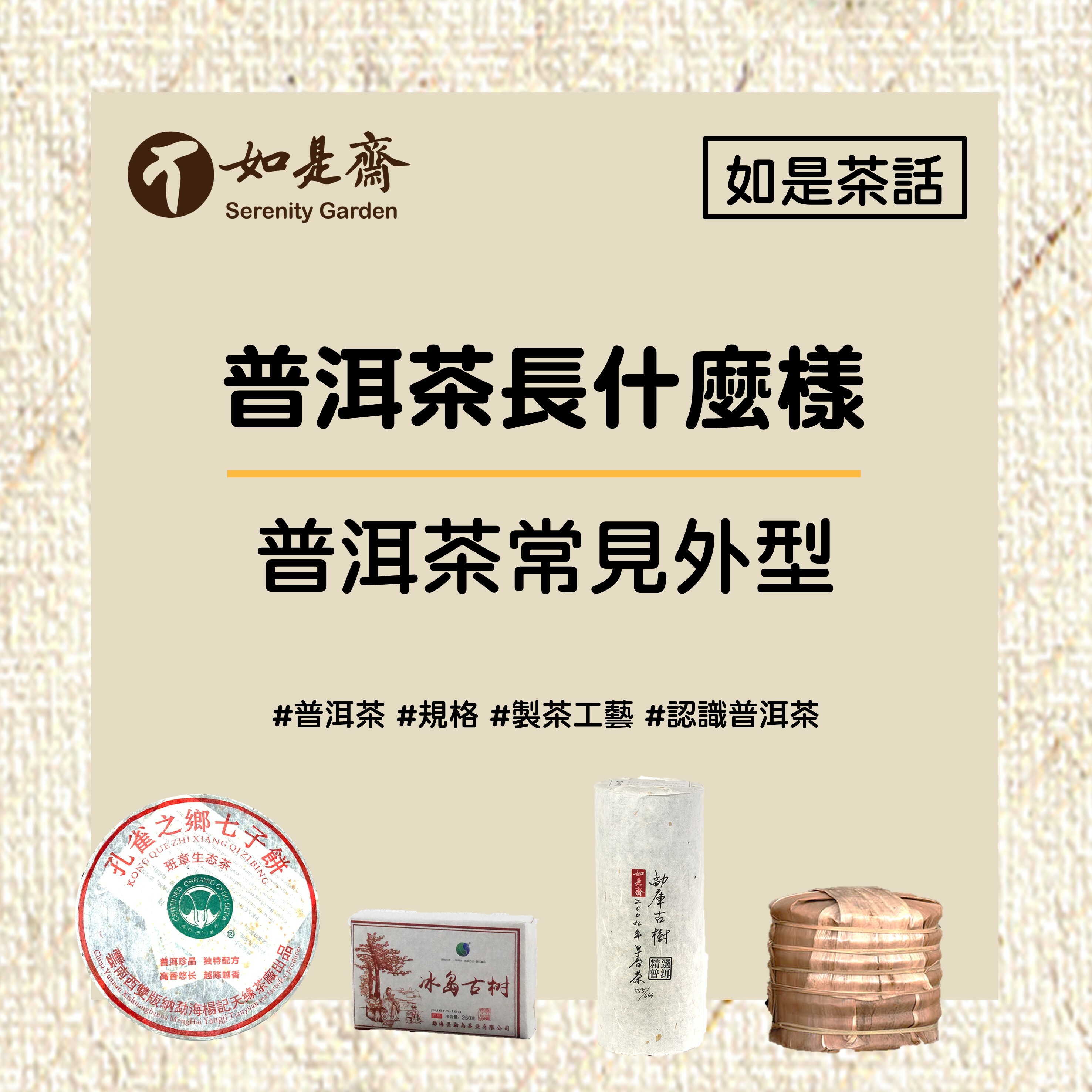 【如是茶話】普洱茶長得怎麼樣？－普洱茶常見外型