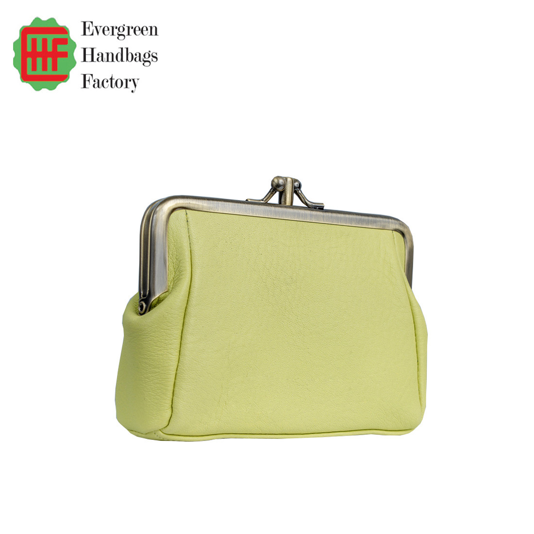 Clip Top Purse