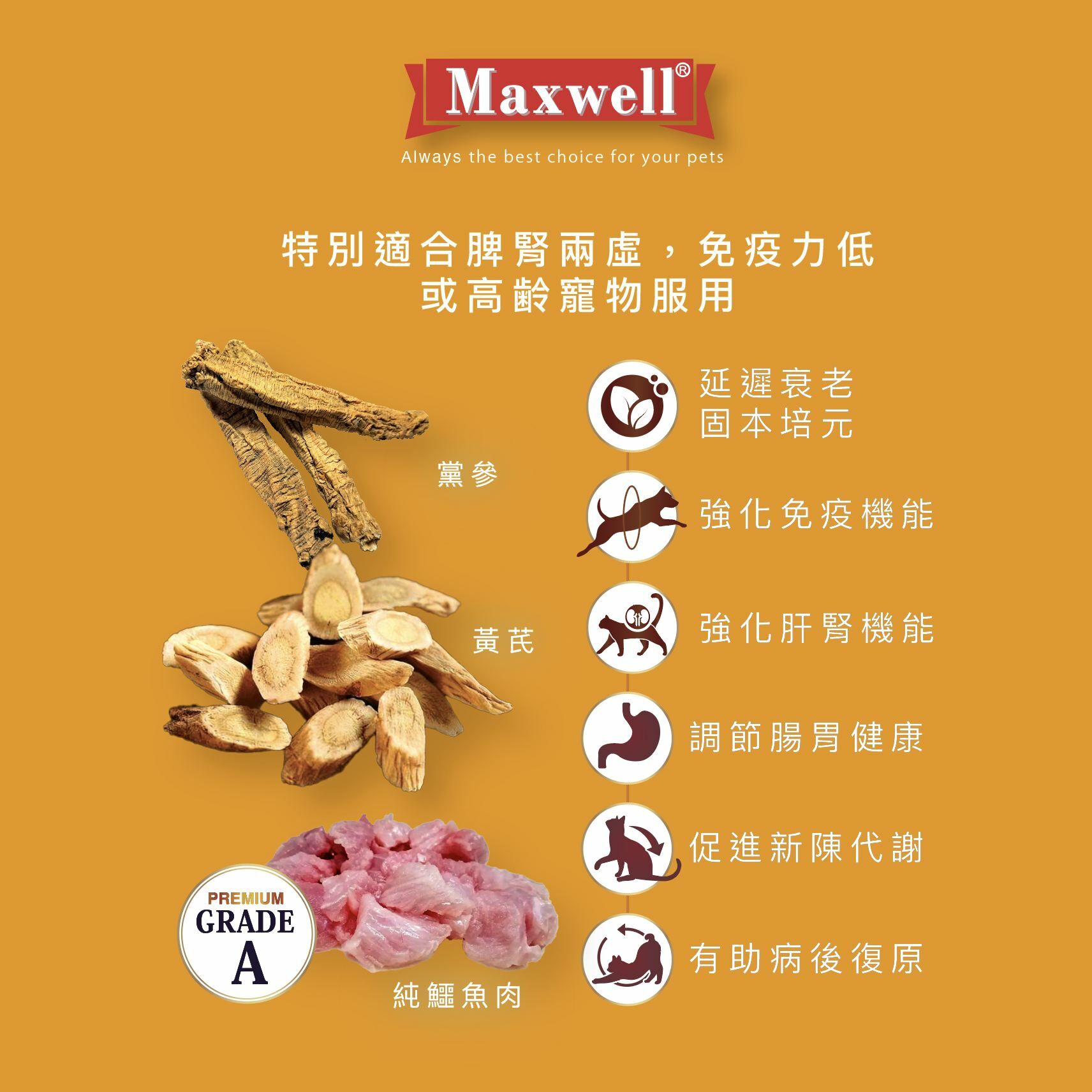 Maxwell® 純鱷魚黃芪黨參粉50g (貓狗適用)